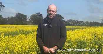Hunter making headway in WA canola paddocks as yield surpasses predictions
