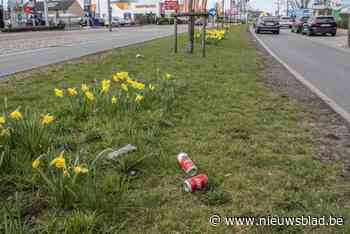 Stad organiseert opnieuw zwerfvuilopruimactie