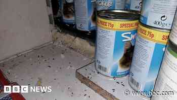 Shop fined for mouse and cockroach infestation