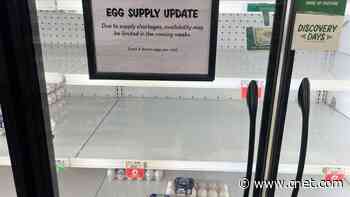 Will Egg Prices Stay Ridiculously High Forever? Two Experts Offer Different Predictions