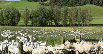 Chase for methane fairies will send us broke: NZ livestock on new GHG target