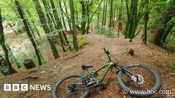 'Illegal' bike trails dismantled amid safety fears