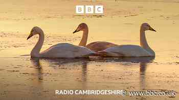 Celebrating our wonderful wetlands