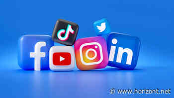 LinkedIn, Instagram, TikTok &amp; Co: Welche Plattformen Unternehmen 2025 welchen Mehrwert bieten