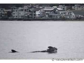 Valeria Vergara: A mother's grief, a population on the brink