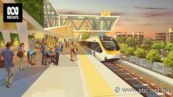 'Wobbly knees' on major rail project risks failing future generations, says MP