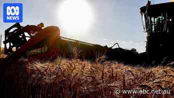 Australian trade at risk if US tariffs trigger new era of protectionism