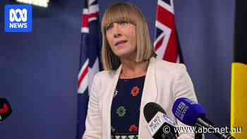 NSW transport minister resigns, acknowledges 'damage' caused