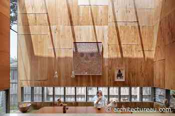 The Backyard Goes On Forever by Multiplicity