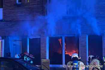 Hevige brand in appartement in Ninove: bewoonster kan net op tijd ontkomen
