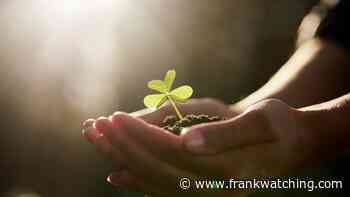 Zo leg je de basis voor een Community of Practice [case]