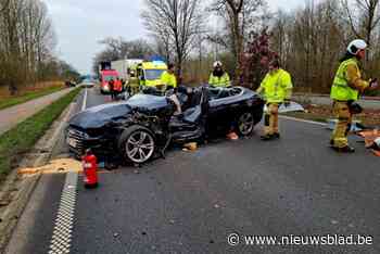Zware klap op N16 in Bornem: brandweer moet bestuurster (44) uit wagen bevrijden