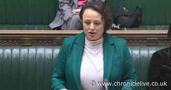 Newcastle MP Catherine McKinnell says schools in England entering 'new era of accountability'