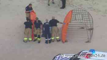 Hai-Horror am Traumstrand – Teenagerin (17) tot: „So nah an der Küste ein Schock“