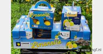 Nieuwe verpakking voor kleine citroenen