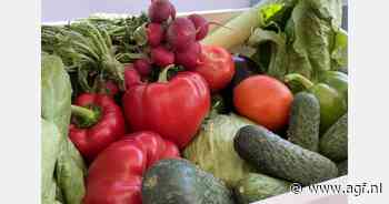 "Opvallende stijging Nederlandse fruitexport naar Polen"