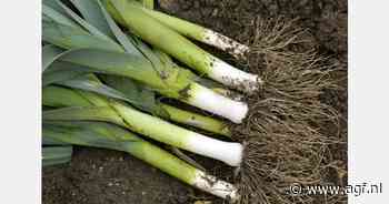 Dalende preiprijzen Frankrijk