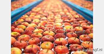 Nieuwe app en adviezen voor veilig beheer van proceswater in groenten en fruit