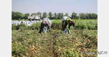 Iran importeert 50.000 ton aardappelen