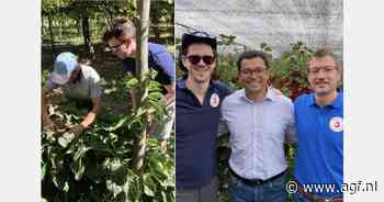 "Sommige retailers hebben voor het eerst Chileense kiwibessen in assortiment"