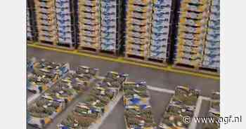 Hoe vier je dat je Costa Ricaanse ananassen weer aangekomen zijn?