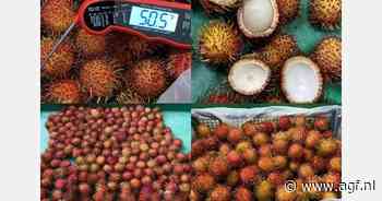 "Composteerbare verpakking die houdbaarheid van ramboetan tot drie keer verlengt"