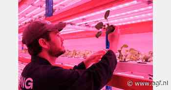 "Van een koelcel naar de toprestaurants in Melbourne"