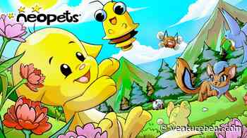 Neopets hits 400,000 monthly active users, tripling growth in 2024
