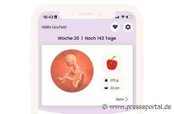 BKK Pfalz: Umfassende Hebammenbetreuung - digital und vor Ort