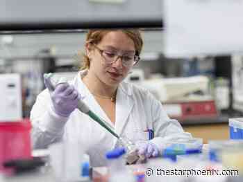 Young Innovators: U of S researcher uses bat immune systems to find next generation therapies