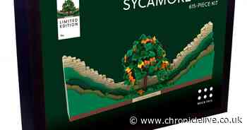 Sycamore Gap Lego kit launched by North East model firm Brick This