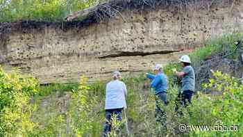Carbon dating puts Sask. Indigenous archeological site at almost 11,000 years old