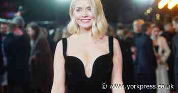 What is Celebrity Bear Hunt star Holly Willoughby's net worth? All to know