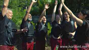 VOD-Ranking: Dschungelcamp erreicht auch im Netz hohe Reichweite