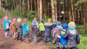 Ernüchterung beim Thema Waldkindergarten in Thaining