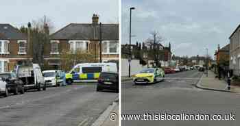 Goldsmiths student accused of murdering 'kind' Hither Green woman faces retrial