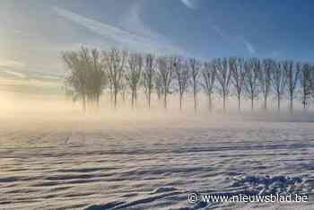 Pepingen wil winteraanpak herbekijken