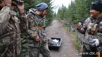 Piikani Nation hunters harvest first bison in Banff in over 145 years