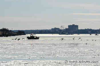 Before fatal plane crash, Arlington advocates fought crowded airspace for years