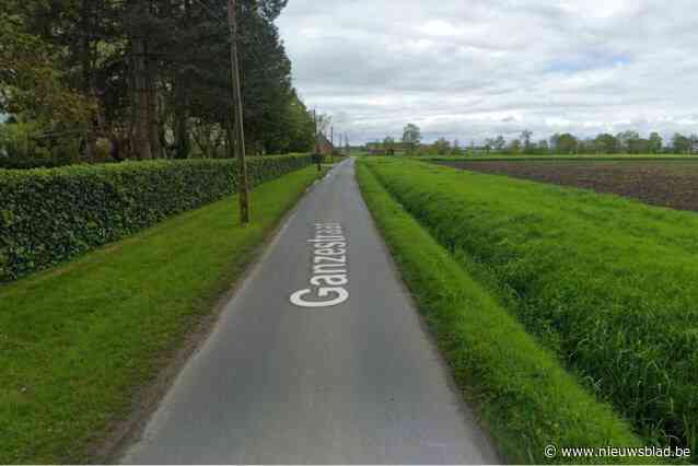 Vrachtwagen wijkt uit voor tegenligger en belandt in gracht