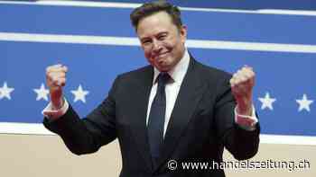 So zerlegt Elon Musk gerade die US-Behörden