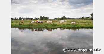 Waterkwaliteit in landbouwgebieden moet nog beter