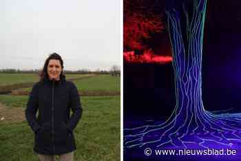 Groene gevels of artistieke zitbank: stemming voor burgerbudget geopend