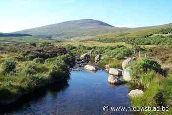 Raak organiseert Ierse avond in BEN