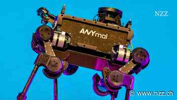 «Wir bereiten uns auf den Ernstfall vor»: Weil Amerika den Zugang zu Chips einschränkt, erwägt das Schweizer Startup Anybotics, die Produktion ins Ausland zu verlagern