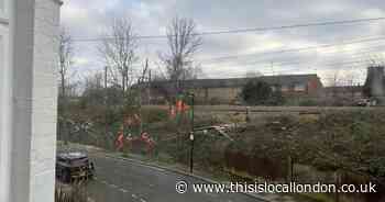 Fury as trees beside railway felled 'with no warning'