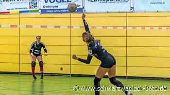 Faustball Bundesliga: Der TSV Calw macht’s spannend