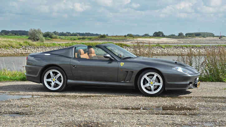 Klant verliest rechtszaak over Nederlandse Ferrari schadebak