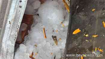 Ice chunk plummets from sky and punches a hole in the roof of Palm Coast home
