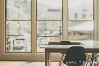 Schimmel in Mietwohnung: Als Mietpartei richtig handeln